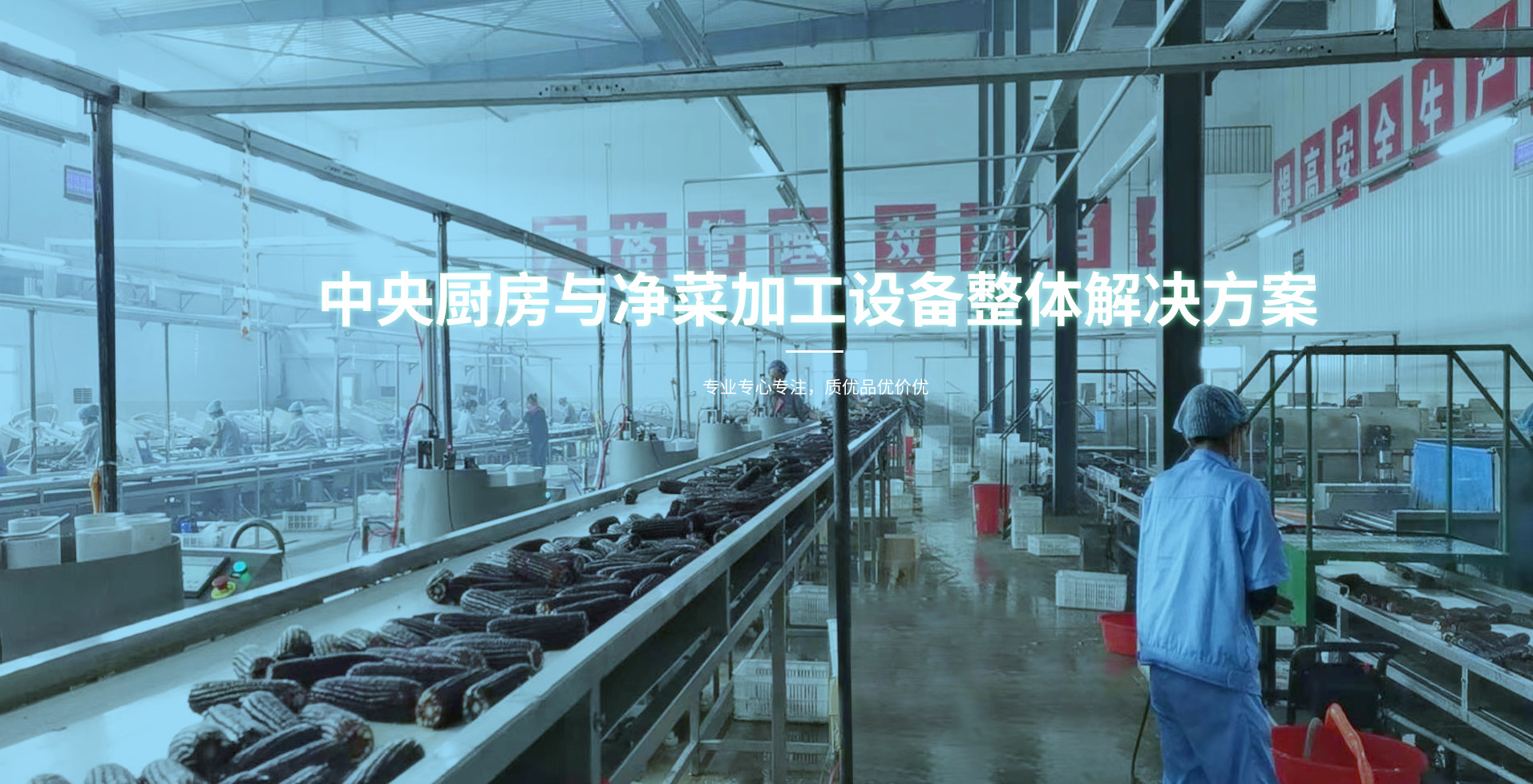诸城市安邦机械有限公司食品加工设备