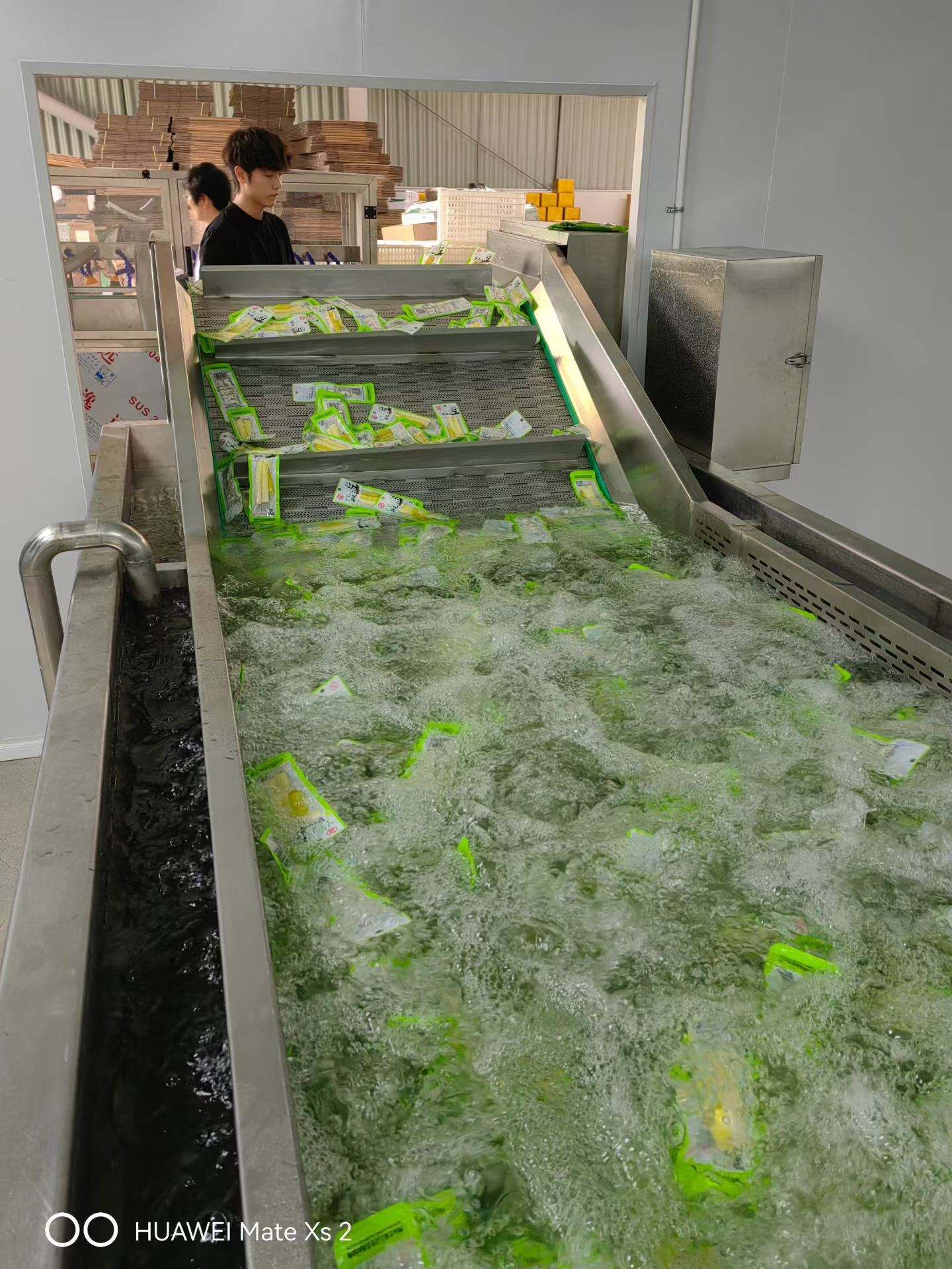 袋装产品水槽处理及提升输送工段实拍